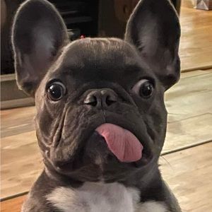 Meet your Posher, Noemy